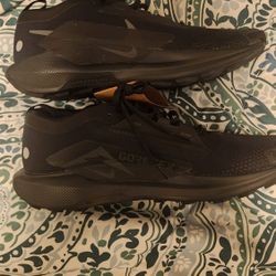 Nike Pegasus Trail 5 Gore-Tex "Black/Anthracite" Men's Trail Running Shoe