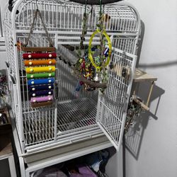 Bird cage 
