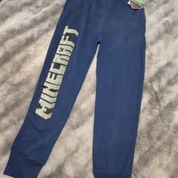 Minecraft Pants, Size Large