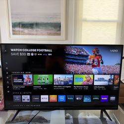 35.5 x 20.5 Inch Vizio TV Available - $50