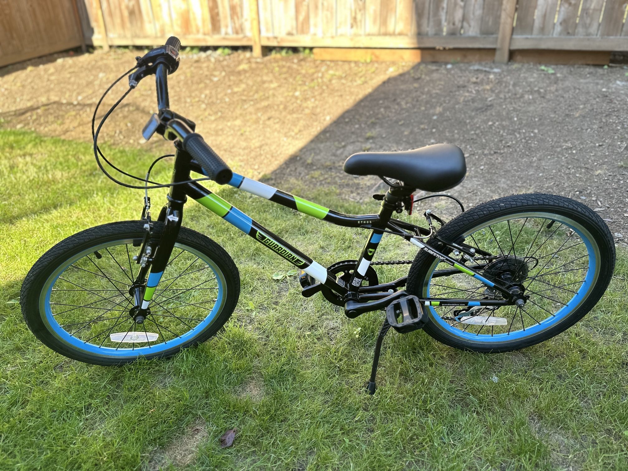 Youth Guardian Bike 20” Small