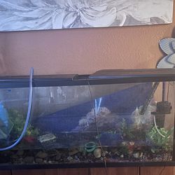 55 Gallon Fish Tank 