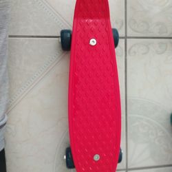 Penny Board Skateboard