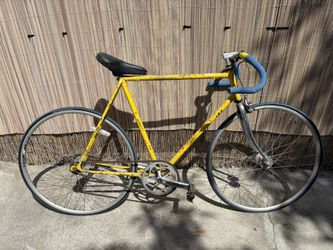 Fixie Fixed Gear Bike