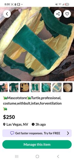 Turtle Mascot outfit