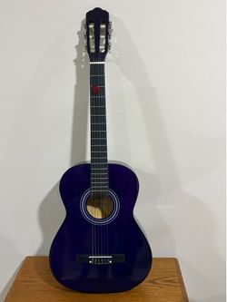 Pacific PSG-34 Acoustic Guitar for Beginners