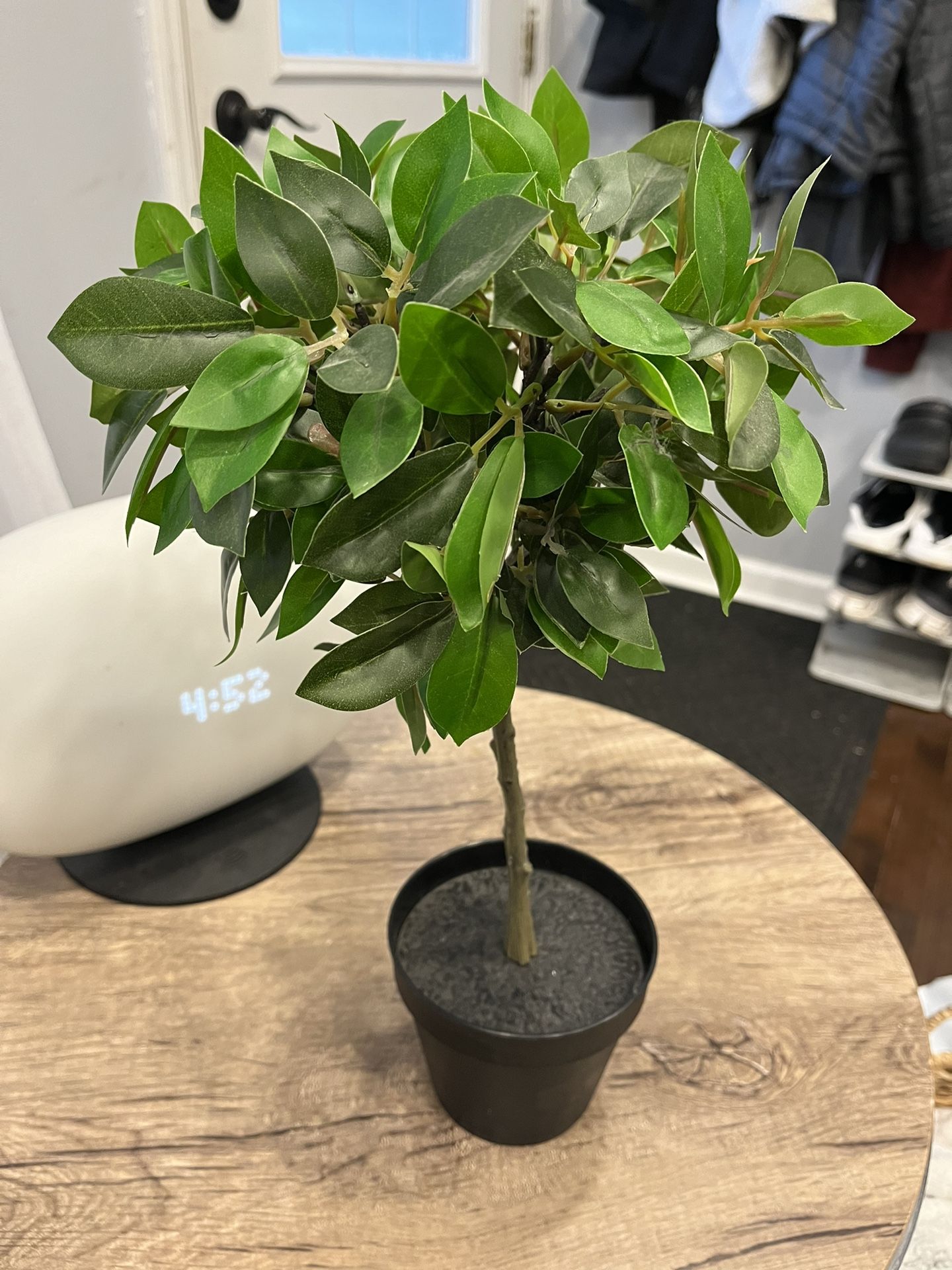 Fake Plant IKEA 