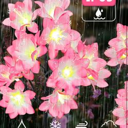 Solar Garden Llights, 4 Pack Flowers Camellia Lights Outdoor Garden Decorative Path Light Waterproof Solar Lights Landscape Stake Lights for Ga