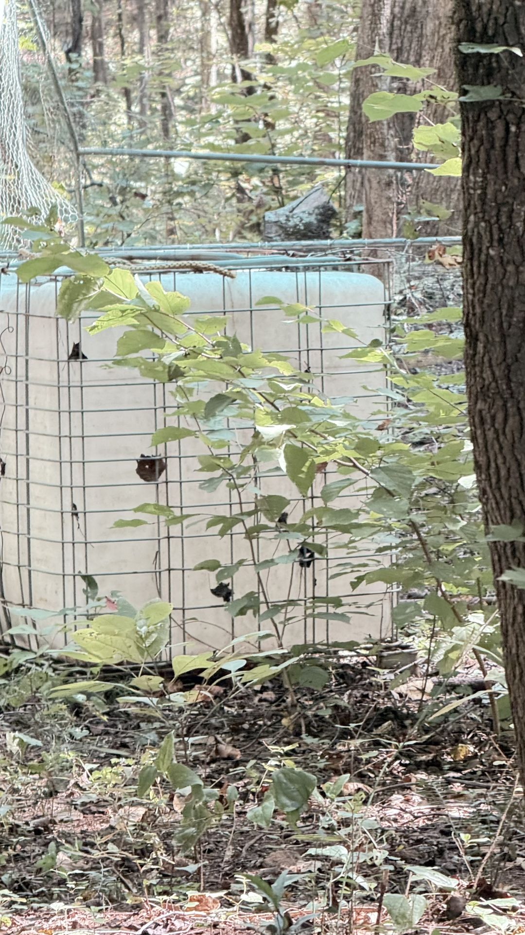 Water Tank With Metal enclosure