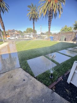Fresh Sod New Natural Grass