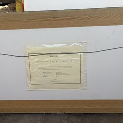 Original Hand Painted Frame 