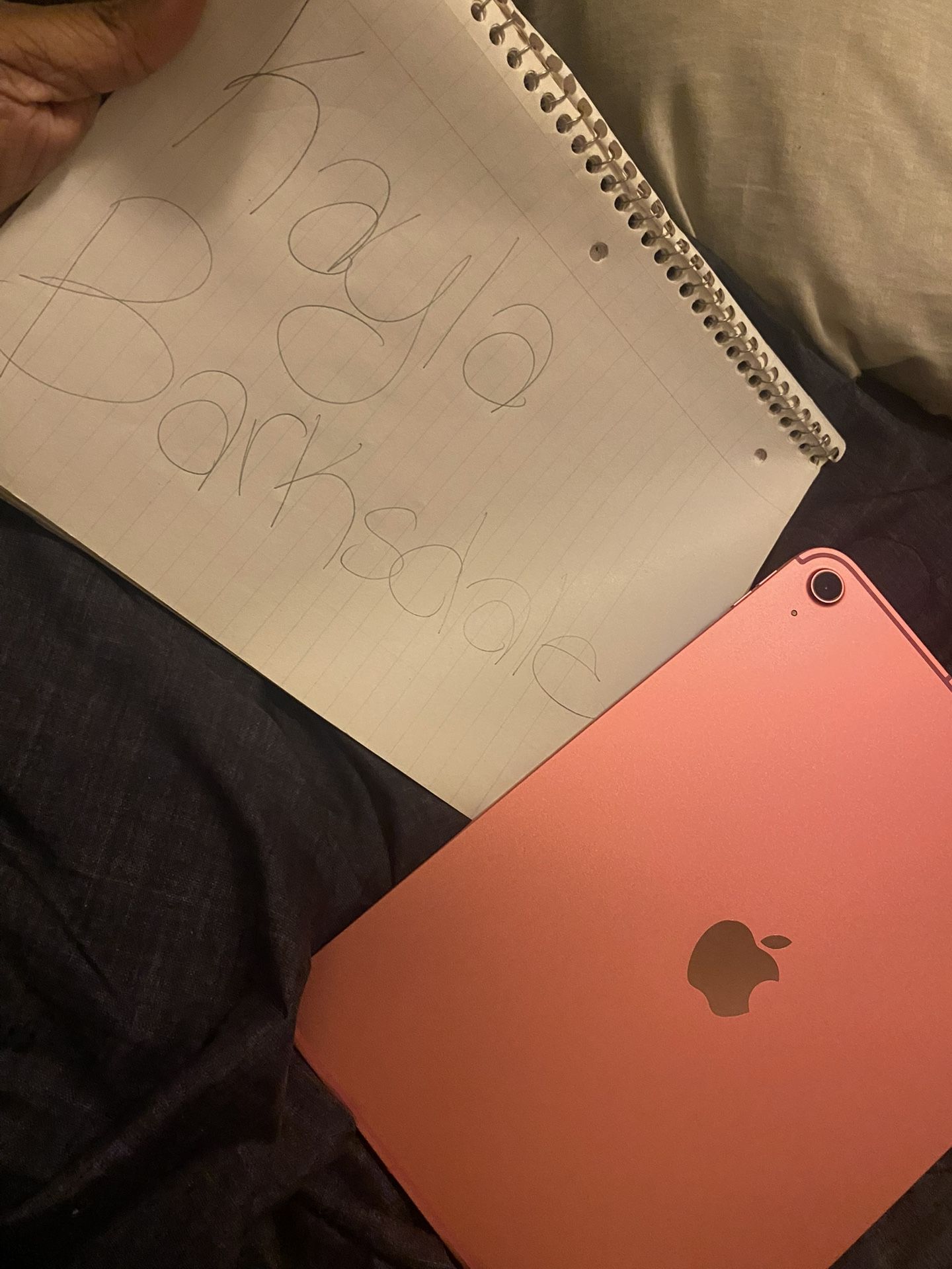 Pink IPad With Pen