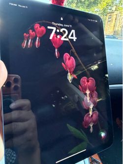 Ipad 10gen