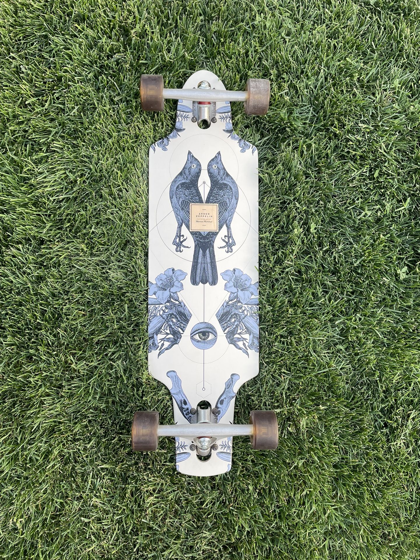 Arbor Longboard