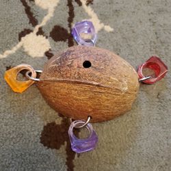 Coconut Bird Toy