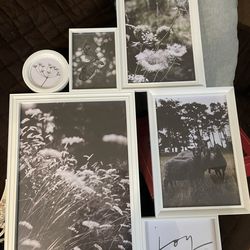 Wall Decor or Picture Frame.