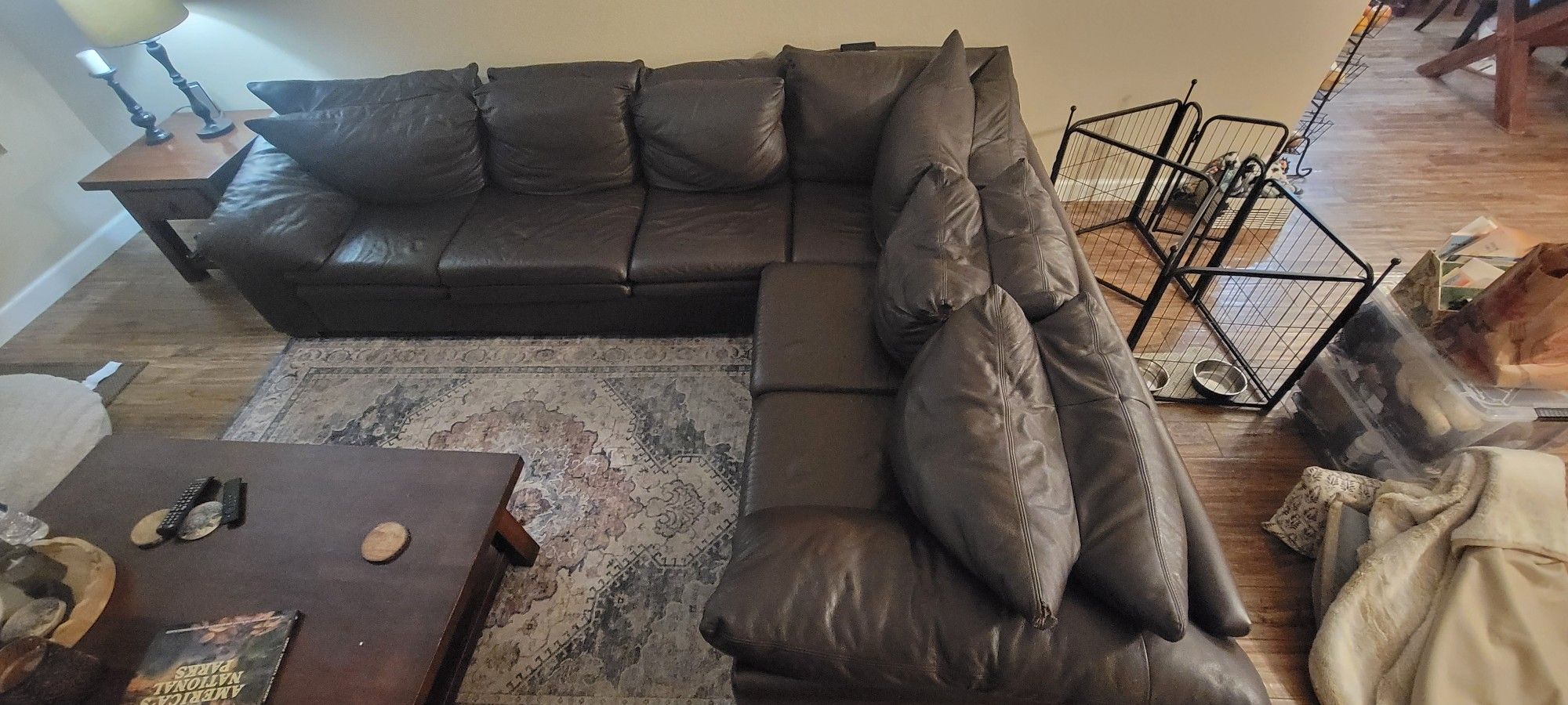 Arizona Leathet Sectional