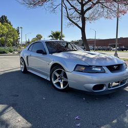 2000 Ford Mustang