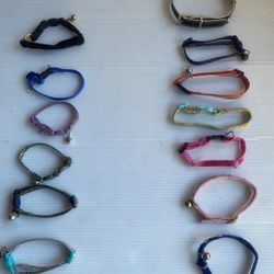 Collars For Small Dogs $1.00 Each