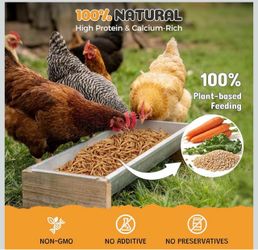 5 lbs Dried Mealworms - High Protein Treat for Chickens & Birds No Additives or Preservatives, Natural Chicken Worms Ideal for Ducks, Wi