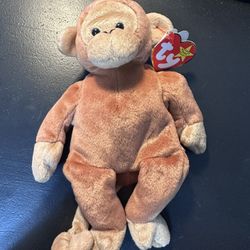 Bongo Beanie Baby