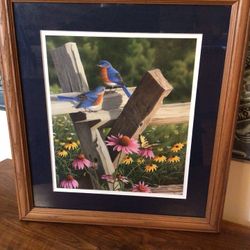 Signed Bluebird Framed Print