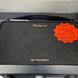 Roland Acoustic Amp