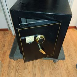 Sentry Safe For Guns Cash Valuable
