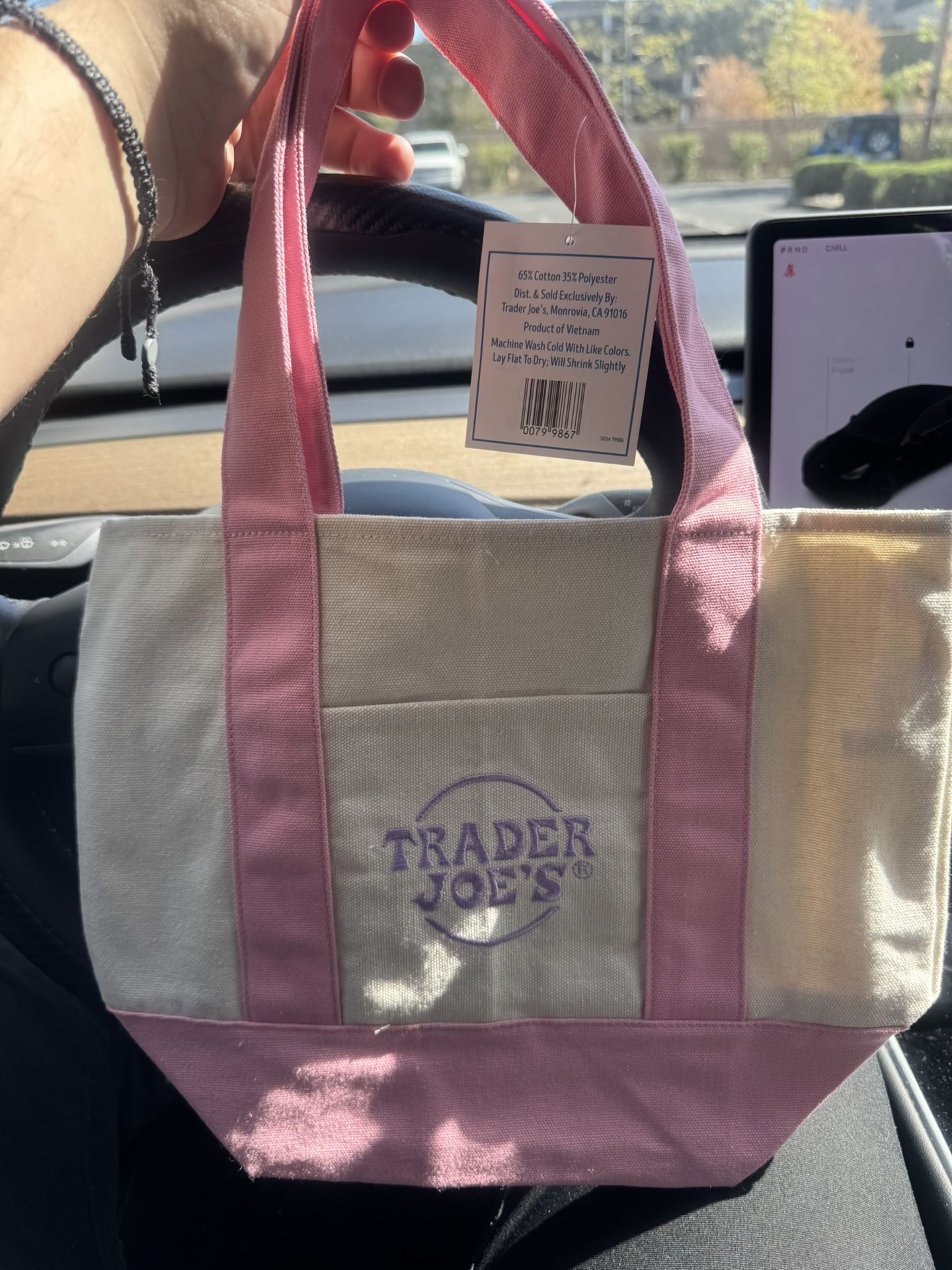 Pastel Trader Joe’s Mini Tote