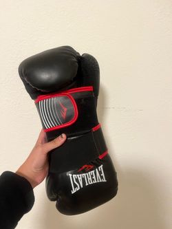 Everlast boxing gloves