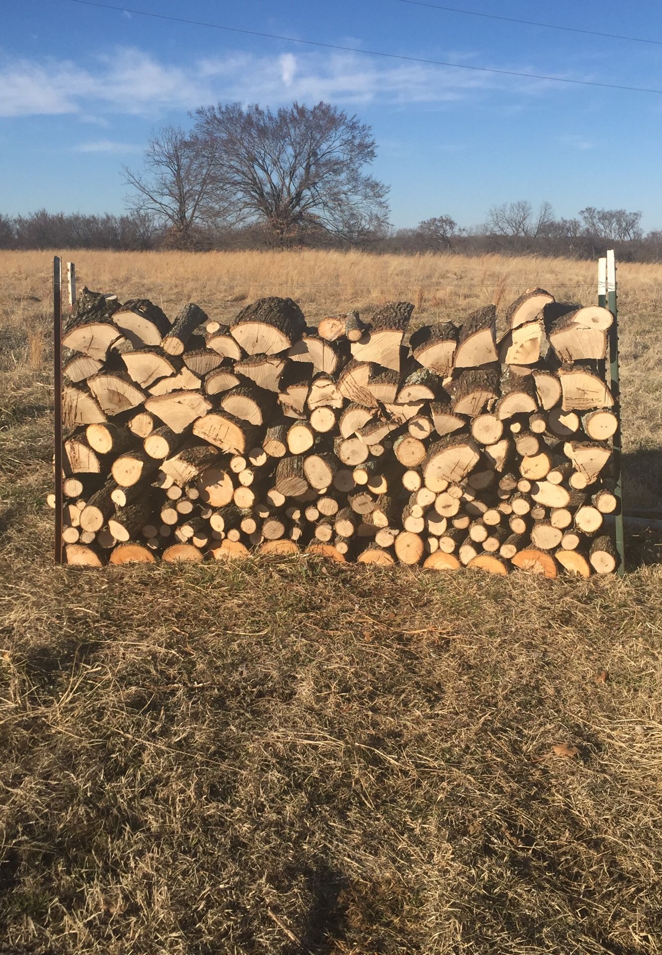 Firewood