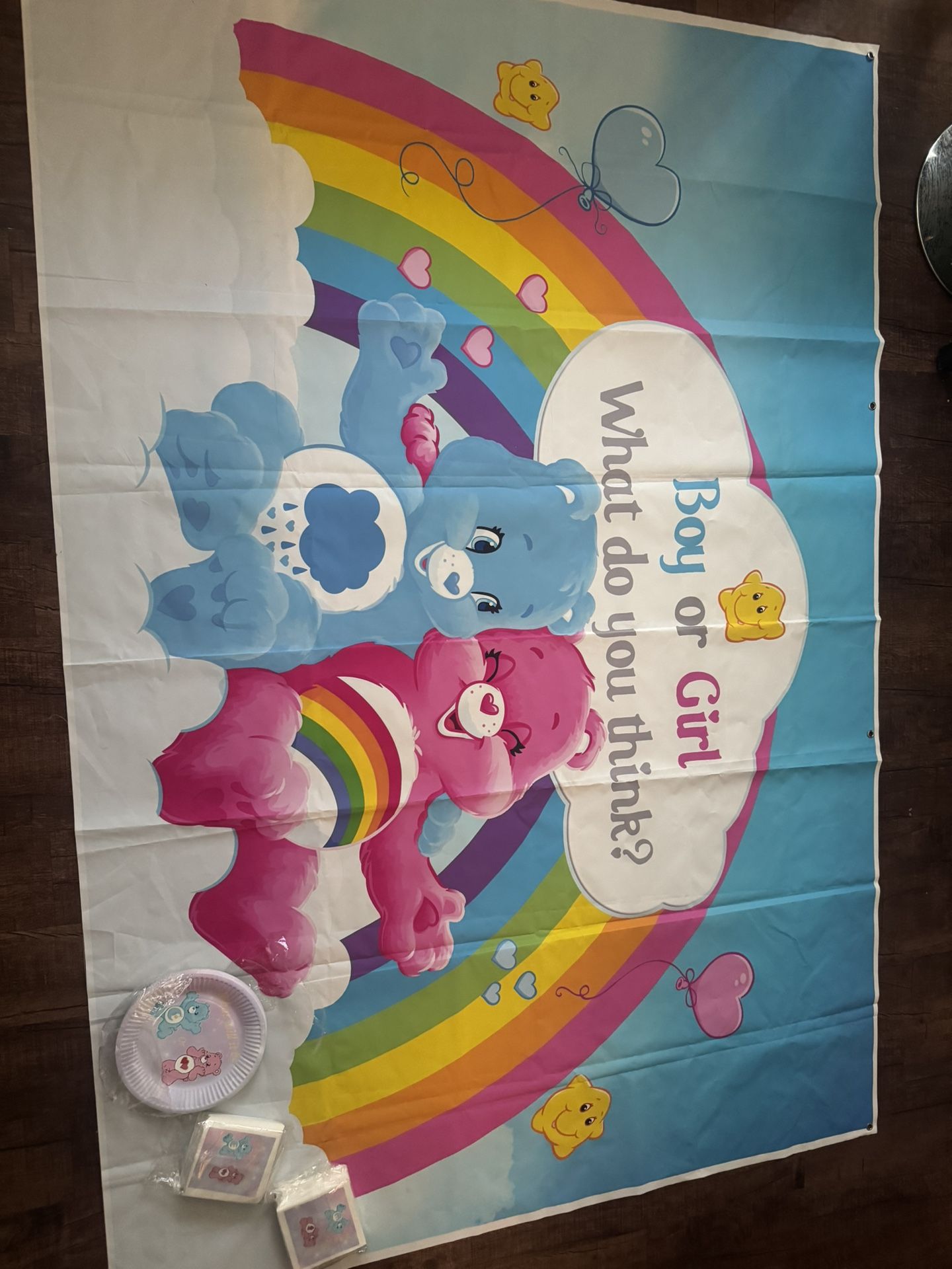 Gender Reveal Care Bear Theme 