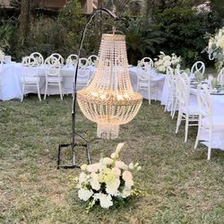 Stunning crystal chandeliers (3 total available)