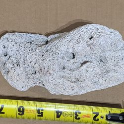 Large Oregon Coast Fission Worm Rock