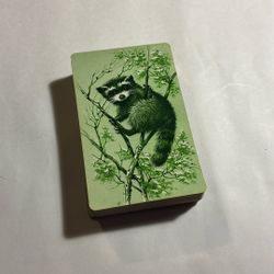 Raccoon Playing Cards Baby Raccoon 