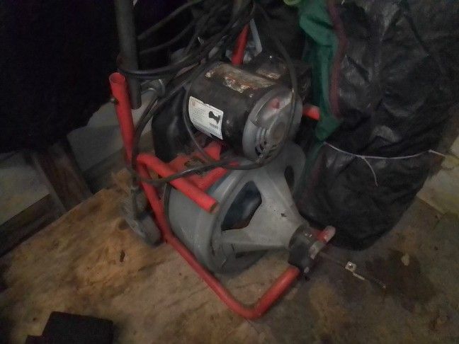 Electric 50 Ft Snake