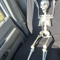 Fake Skeleton For Halloween. 