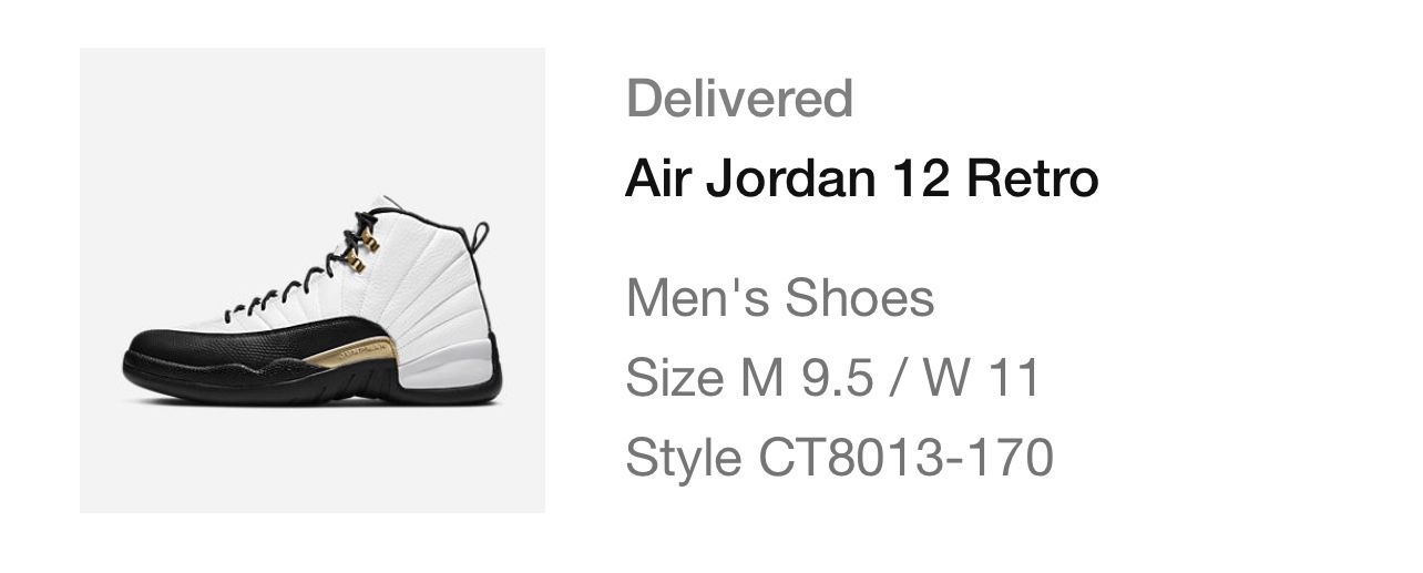 Air Jordan 12 Retro 