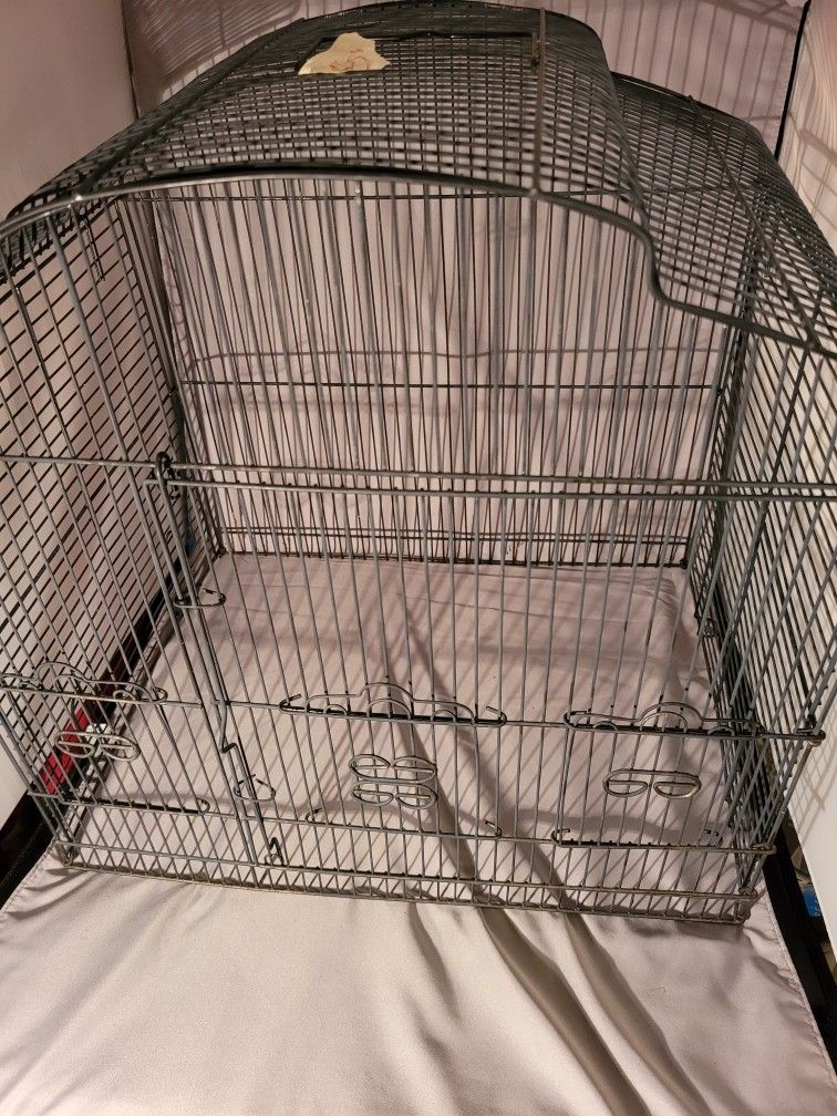 Bird CAGE