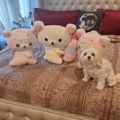 BIG  STUFFED ANIMAL  $20 EACH  NEW