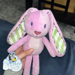 Plushie Bluey (Floppy)  (Pickup In Escondido) 