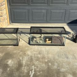 Reptile Tanks  Small Fish Tank