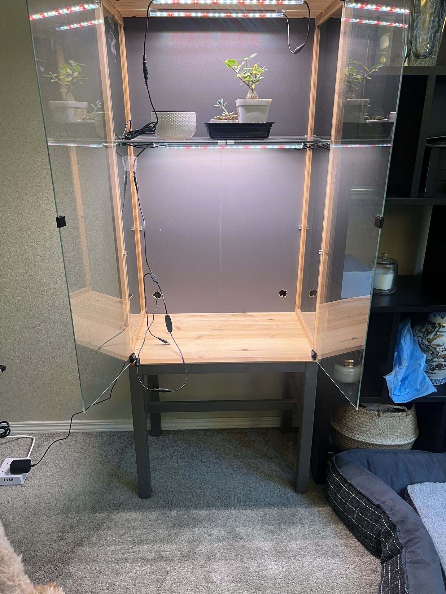 Glass Display Cabinet, Greenhouse Cabinet