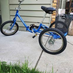 Tricycle Food Up Bike 