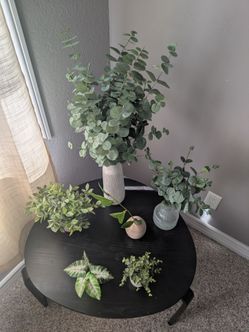 Artificial Fake Plants