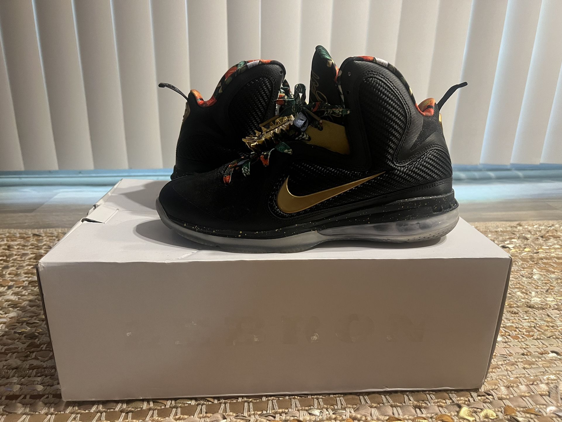 Nike LeBron 9 WTT