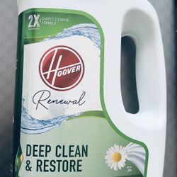 Carpet Cleaner 2 Available 