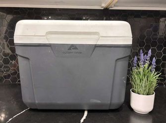 Cooler ice chest