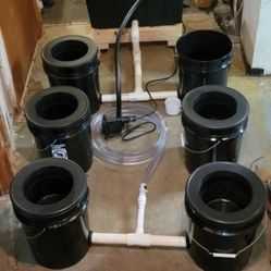 Hydroponic Deep Water Current System  (Dwc)