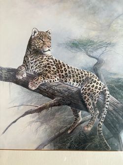 Leopard Wildlife Art Print